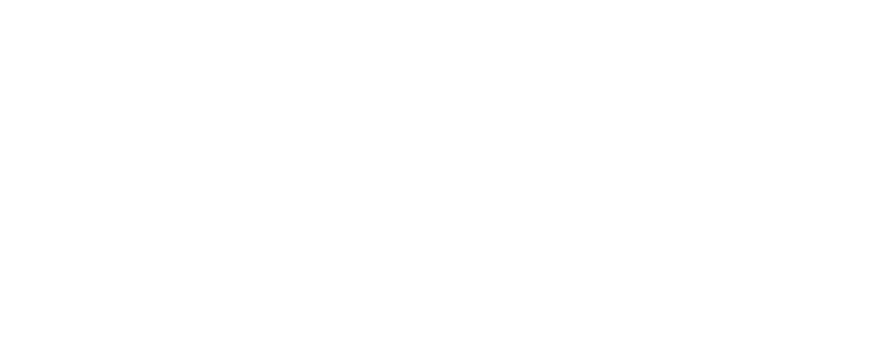 Logo Static
